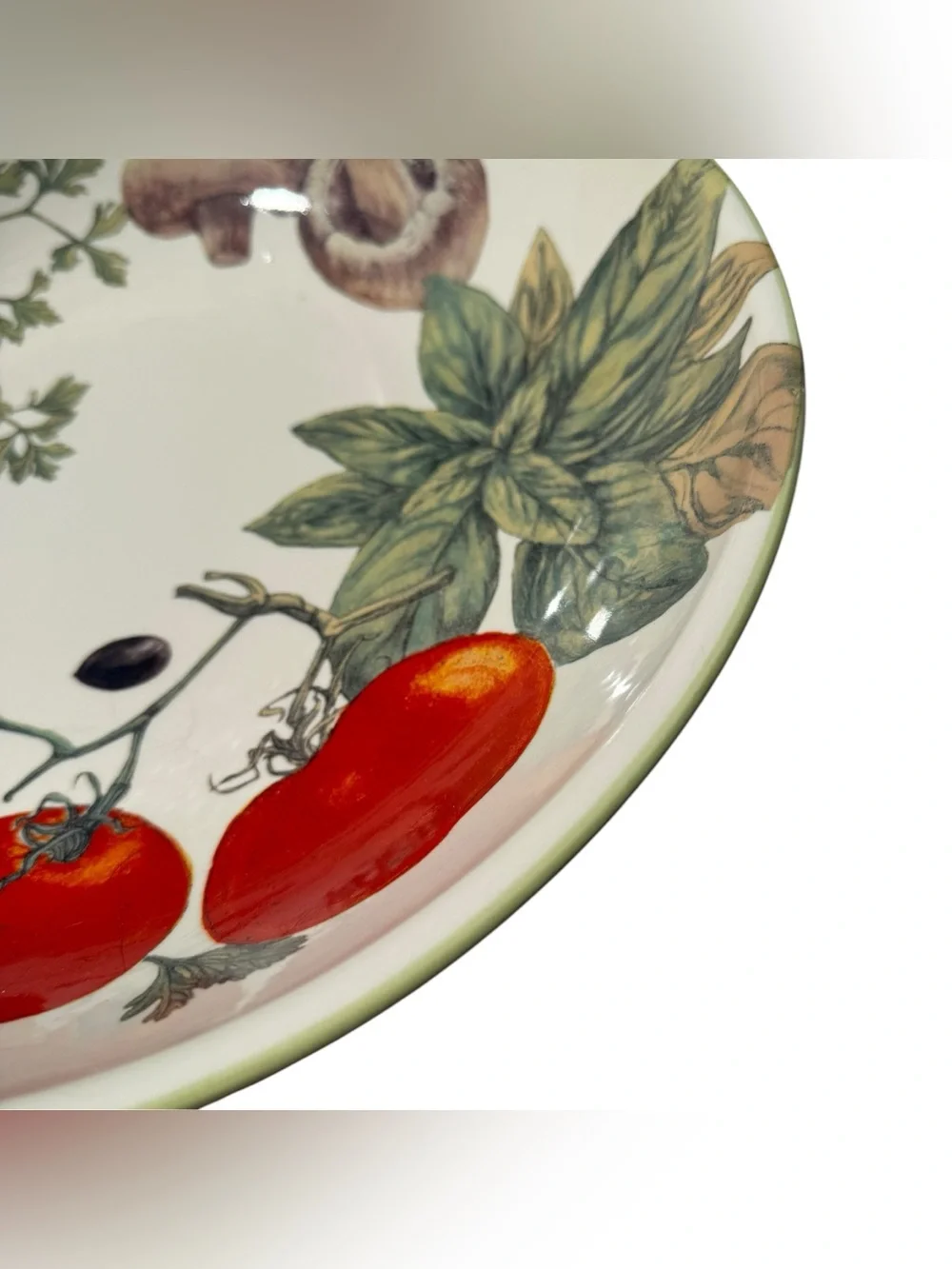 Williams Sonoma Vegetable Herbs 13” Pasta Serving Bowl Portugal Rare European